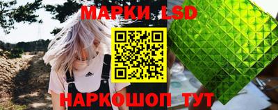 мяу мяу мука Будённовск