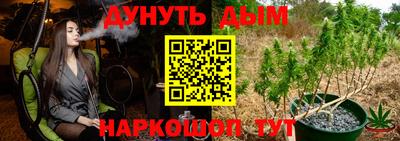мяу мяу мука Будённовск