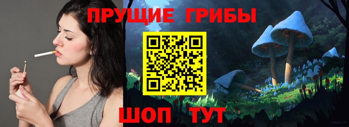 Мирный  Псилоцибиновые грибы Magic Shrooms  Вход с VPN 