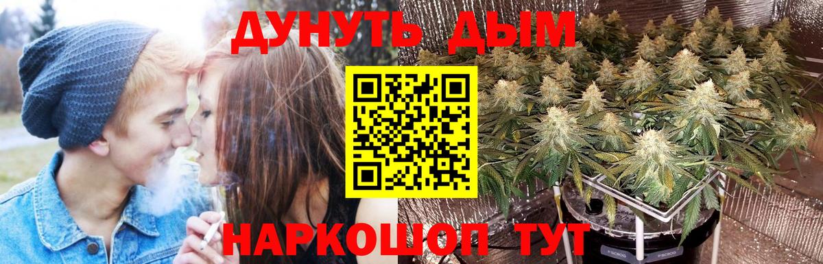 Мирный  Канабис гибрид  Вход с VPN  Шишки марихуана план  Шишки марихуана LSD WEED 
